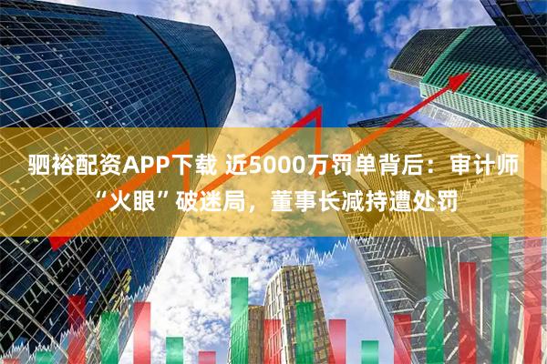 驷裕配资APP下载 近5000万罚单背后：审计师“火眼”破迷局，董事长减持遭处罚