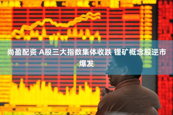 尚盈配资 A股三大指数集体收跌 锂矿概念股逆市爆发