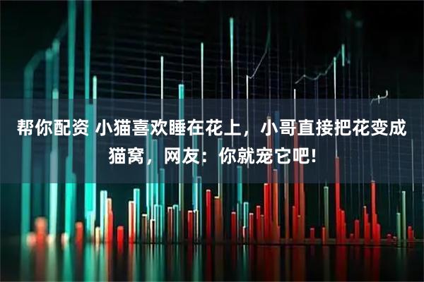 帮你配资 小猫喜欢睡在花上，小哥直接把花变成猫窝，网友：你就宠它吧!