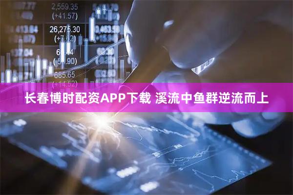 长春博时配资APP下载 溪流中鱼群逆流而上