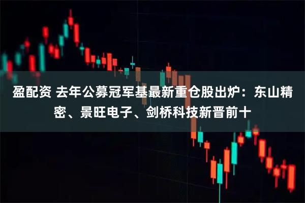 盈配资 去年公募冠军基最新重仓股出炉：东山精密、景旺电子、剑桥科技新晋前十